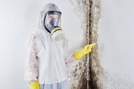 Best Attic Mold Removal in Country Clu, MO